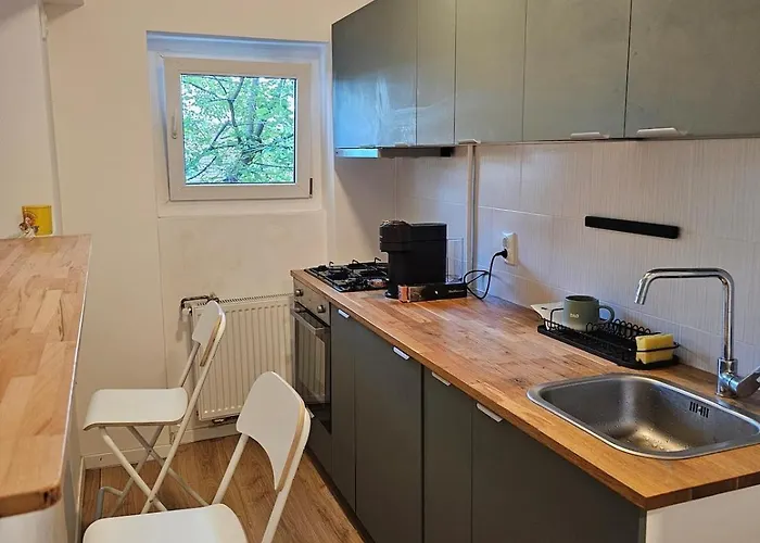 Apartment 1 Bedroom Flat Full Of Sun Bucharest